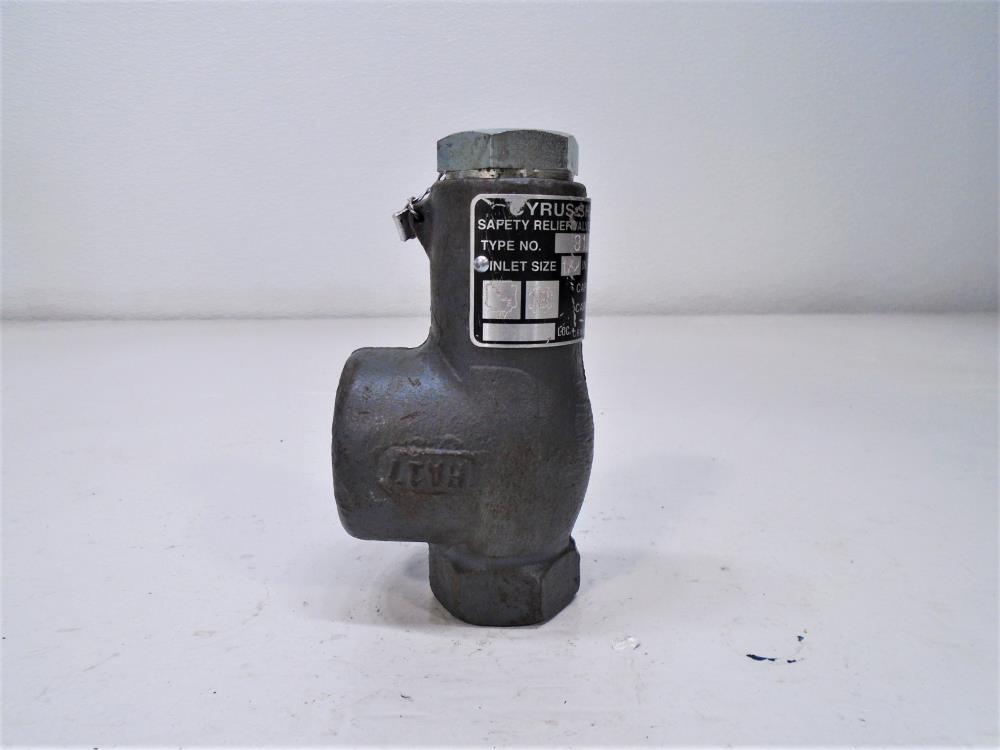 Cyrus Shank 1/2" x 1" NPT Safety Relief Valve, Type 813, 300 PSIG